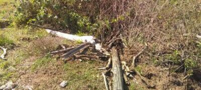 Polícia Militar Ambiental de Bela Vista autua infrator em R$ 15 mil por desmatamento ilegal de vegetação