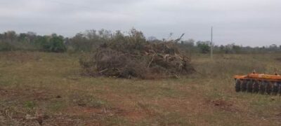 Polícia Militar Ambiental de Bela Vista autua arrendatário em R$ 16,5 mil por desmatamento e exploração de madeira