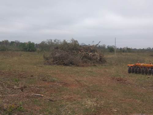 Polícia Militar Ambiental de Bela Vista autua arrendatário em R$ 16,5 mil por desmatamento e exploração de madeira