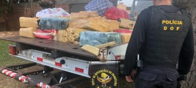 Mais de uma tonelada de maconha foi apreendida pelo DOF em Ponta Porã