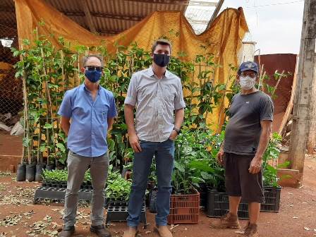 Parceria viabiliza implantação de Unidades Demonstrativas de maracujá-amarelo
