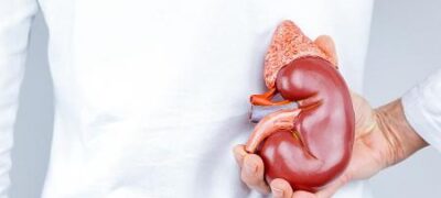 Saúde: Mitos e verdades sobre a saúde renal 