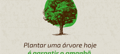 Sicredi Centro-Sul MS distribui mudas em comemoração ao Dia da Árvore