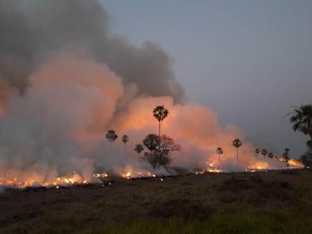 Setembro já é o mês com maior número de focos de incêndio no Pantanal desde 1998  