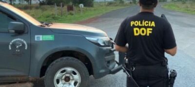 Corredor do narcotráfico, MS tira de circulação 520 toneladas de drogas