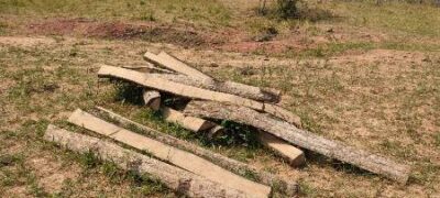 Polícia Militar Ambiental de Bela Vista autua assentado em R$ 2,4 mil por derrubada ilegal de árvores em 8 hectares