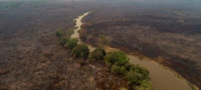 Em 15 dias de setembro, Pantanal tem metade das queimadas que teve em 2019