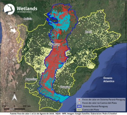 Wetlands International propõe ações para encontrar respostas aos problemas com incêndios na Bacia do Prata  