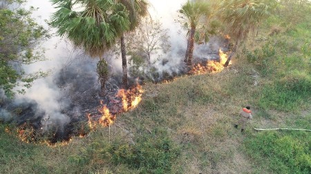 Pantanal registra 5.935 focos de calor em agosto e acumulado nos 8 meses já é maior que todo 2019  