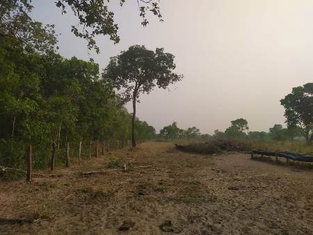 PMA de Bela Vista autua campo-grandense em R$ 15 mil por desmatamento ilegal de vegetação protegida em sua fazenda em caracol.