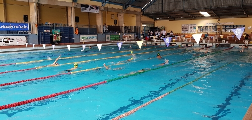 Circuito Stopa abre calendário da natação em MS e homenageia personagem esportivo histórico