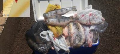 Polícia Militar Ambiental prende e autua dois goianos em R$ 1,6 mil por crime de pesca