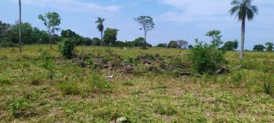 Polícia Militar Ambiental de Bela Vista autua infrator em R$ 5,7 mil por desmatamento e exploração de madeira ilegais em sua fazenda em caracol