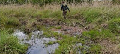 Polícia Militar Ambiental de Jardim autua pecuarista em R$ 20 mil por desmatamento de 3,5 hectares em áreas de nascentes para construção de estrada