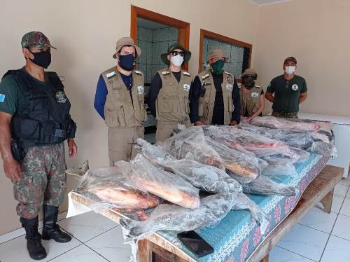 Polícia Militar ambiental de Jardim e Imasul autuam pescadora profissional de Bonito em R$ 4,4 mil por não declarar estoque e apreendem 187 kg de pescado