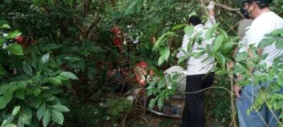 Nem pandemia segura matadores e ano foi mais uma vez sangrento na fronteira
