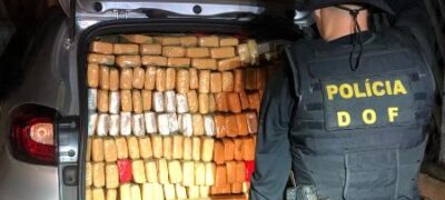 DOF fecha entreposto de droga em Antônio João e apreende mais de 2360 quilos de maconha