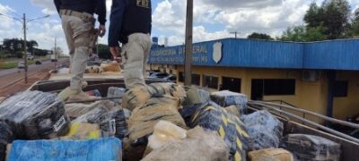 Carga com 29,2 toneladas de maconha é a maior apreensão da história da PRF