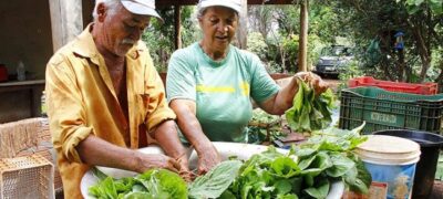 Com apoio do Governo do Estado, casal planta hortas e cria agrofloresta em área urbana da Capital
