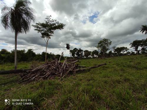 PMA de Bela Vista autua infrator em R$ 15 mil por desmatamento ilegal envolvendo áreas de vegetação protegidas de matas ciliares e reserva legal