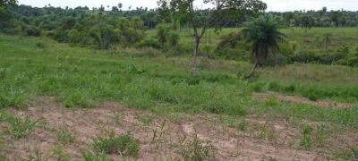 Polícia Militar Ambiental de Bela Vista autua infrator em R$ 10 mil por desmatamento em fazenda em Caracol.