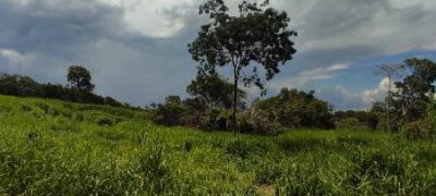 Polícia Militar Ambiental de Bela Vista autua infrator em R$ 29 mil por desmatamento ilegal de vegetação protegida de reserva legal.