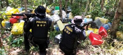 Mais de quatro toneladas de maconha foram apreendidas DOF em uma mata durante a Operação Hórus no Alto Caracol 