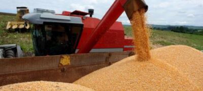 Desempenho da agricultura brasileira durante o primeiro ano da Covid-19