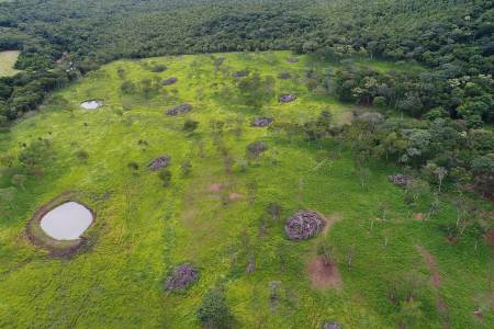PMA de Jardim usa imagem de satélite, descobre desmatamento ilegal de 14 hectares de vegetação e autua infrator em R$ 14 mil
