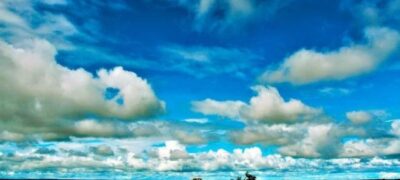 Azambuja envia carta sobre “emergência climática global” para presidente dos Estados Unidos