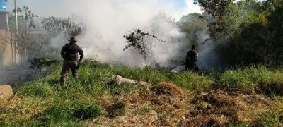 PMA aperta fiscalização a incêndios urbanos na operação Prolepse e jovem de 20 anos é autuado em R$ 1,2 mil em Bela Vista por incêndios de terrenos