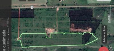 PMA de Bela Vista autua durante a operação Prolepse dono de carvoaria em R$ 12 mil por incêndio de vegetação de eucalipto e pastagem