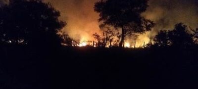 PMA de Bela Vista é acionada para prender incendiário e contém fogo à margem da BR 060