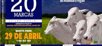 Empresa de leilões encara desafio diante da pandemia