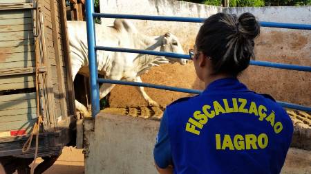 Fiscais Agropecuários são atores do avanço do agronegócio em MS