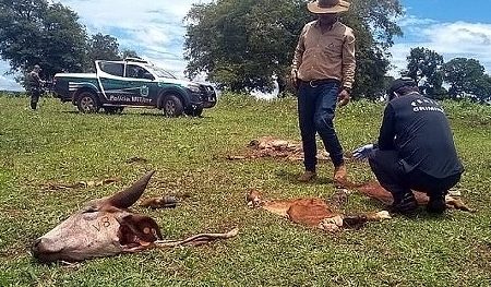 Governo cria delegacia de combate a crimes rurais e abigeato, medida comemorada pelos produtores