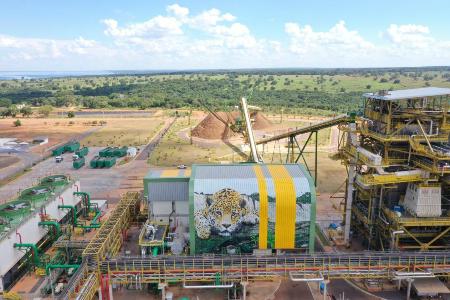 Eldorado inicia operação de termoelétrica movida a biomassa de eucaliptos