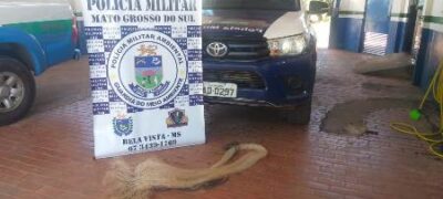 Polícia Militar Ambiental de Bela Vista prende e autua em R$ 1,4 mil infrator por pesca predatória com uso de tarrafa no rio Apa