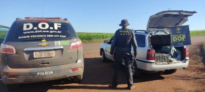 Veículo que seguia para o Campo Grande com mais de 300 quilos de maconha foi apreendido pelo DOF durante a Operação Hórus
