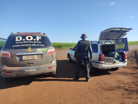 Veículo que seguia para o Campo Grande com mais de 300 quilos de maconha foi apreendido pelo DOF durante a Operação Hórus