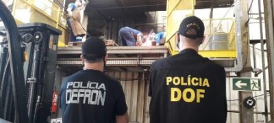 DOF e Defron incineram mais de 23 toneladas de drogas