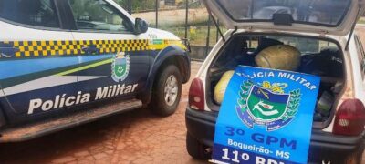 Polícia Militar apreende 243 kg de maconha no distrito de Boqueirão