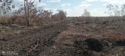 PMA de Bela Vista debela incêndio e autua infrator em R$ 70 mil na operação Prolepse