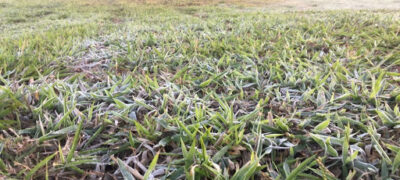 Bela Vista registrou 2,1ºC e sensação de 0ºC nesta Segunda Feira