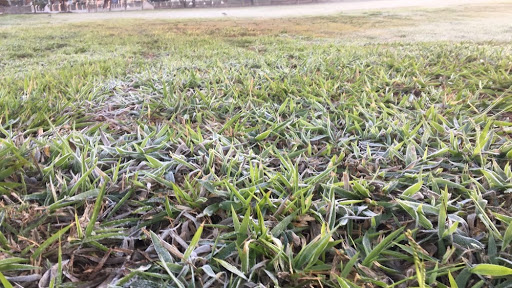 Bela Vista registrou 2,1ºC e sensação de 0ºC nesta Segunda Feira