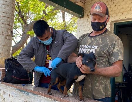 Bela Vista vacina cerca de mil cães e gatos em uma semana nos Assentamentos