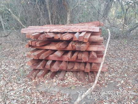 PMA de Jardim e Bonito descobrem grande exploração ilegal de madeira em bioma protegido na Serra da Bodoquena