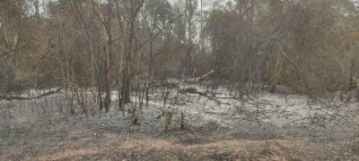 Polícia Militar Ambiental de Bela Vista autua infrator em R$ 2 mil por realizar limpeza e incendiar vegetação 