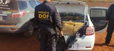 Drogas, armas de fogo, munições, veículos furtados e drone foram apreendidos pelo DOF no final de semana