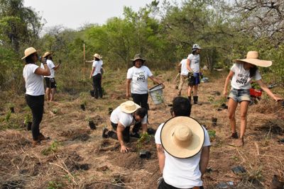 Dia da Árvore: Jovens plantam mil mudas para recuperação de mata ciliar do Rio Formosinho, em Bonito